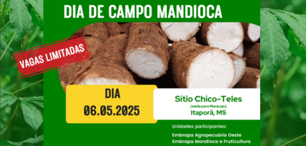 Imagem do evento Dia de Campo de Mandioca