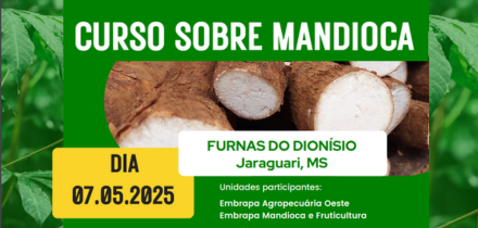 Imagem do evento Curso sobre mandioca Furnas Dionísio