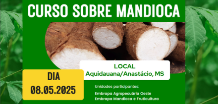 Imagem do evento Curso sobre mandioca