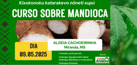 Imagem do evento Curso sobre mandioca Miranda