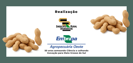 Imagem do evento Seminário: Amendoim - alternativa para diversificação e rotação de culturas